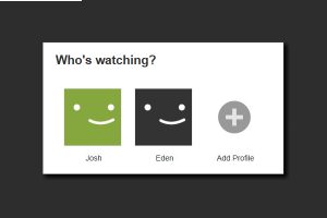 Netflix Profile Support Breaks Windows Media Center Plugin (Workaround Found)