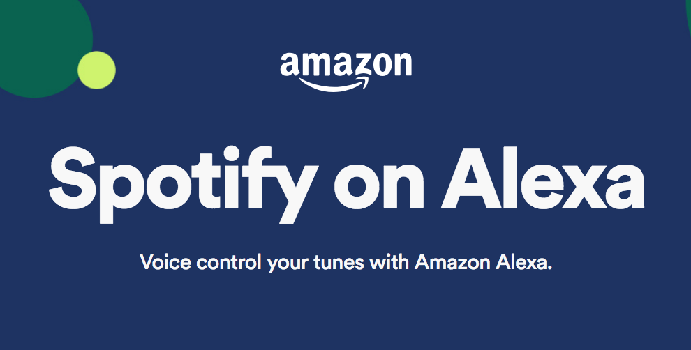 græsplæne billetpris dommer How to Change Alexa's Default Music Service - The Digital Media Zone