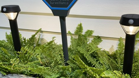 Ring Extends Smart Lighting Line with Solar Products and Bulbs